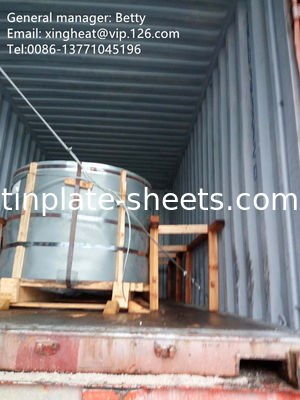 สายลวดกระดาษหมึกสําหรับอุตสาหกรรมบรรจุภัณฑ์ 25 เมตรตัน MOQ EXW/FOB/CFR/CIF L/C/T/T/DP เงื่อนไขการชําระเงิน