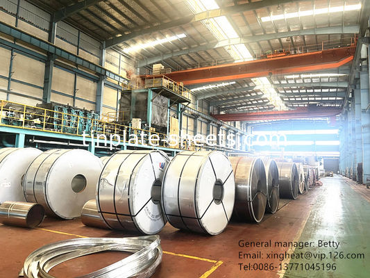 Matt Finish สายเหล็กไร้หมึก 60-140mg / m2 การเคลือบโครมและความกว้าง 600mm-907mm